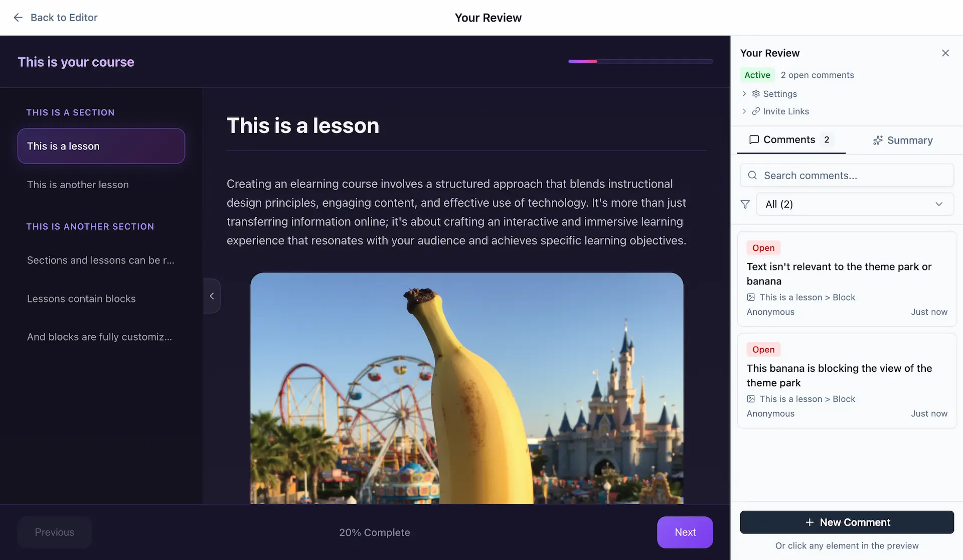 Review tool with comments and feedback